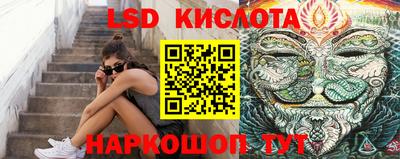 шишки Донской