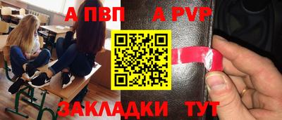 шишки Донской