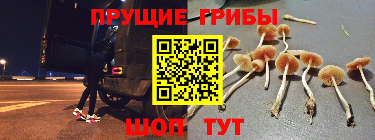 Галлюциногенные грибы MAGIC MUSHROOMS  Вход с VPN  Губкин 